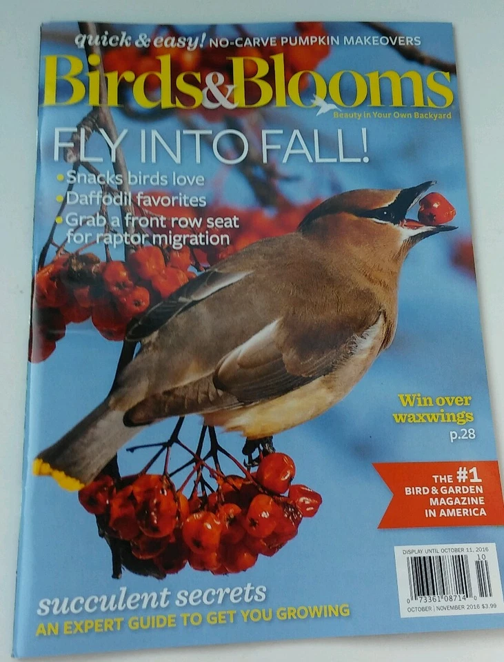 Birds & Blooms Oct Nov 2016 Fly Into Fall No Carve Pumpkins FREE SHIPPING - Image 1 of 1