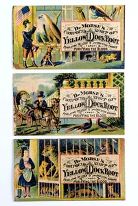 Victorian Trade Cards Dr Morse's Yellow Dock Root Compound Syrup Quack Medicine - Picture 1 of 6