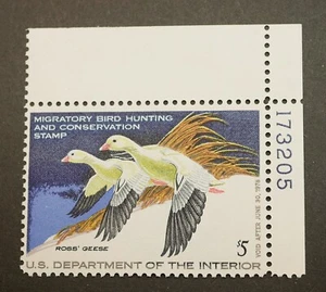 Estampilla de caza de patos federales RW44 con bloque #, MNH, OG, 1977 sellos coleccionables - Imagen 1 de 2