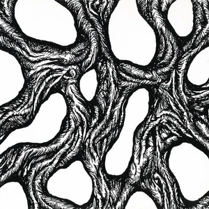 TAAKEFERD - Når sirkelen brytes Digi-CD Norwegian Black Metal - Bild 1 von 1
