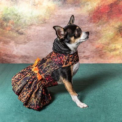 The Doggie Design Fall Leaves Dog Harness Dress With Matching Leash - Image 1 of 3