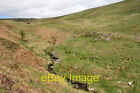 Photo 6X4 The Arkland Burn Countam/Nx7698 A Small Hill Burn In A Sheep F C2008