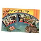 Vintage Postcard Greetings From Cortland New York Albany Tourist Empire State
