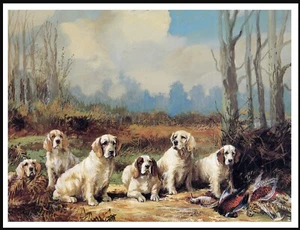 CLUMBER SPANIEL GRUPO DE PERROS ESTILO VINTAGE PERRO ARTE IMPRESIÓN CARTEL - Imagen 1 de 1