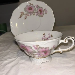 TeaCup And Saucer Bone Mitterteich Bavaria Germany - Picture 1 of 6