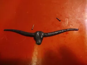 Western Longhorn Bull Head Cast Brass Decoration - Picture 1 of 3