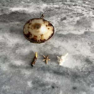 Kleine antike viktorianische echte MUSCHELMUSCHEL MÜNZGELDBÖRSE Kisslock Schmuckset Box 2 - Bild 1 von 7