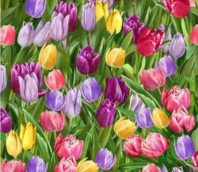 Tulip Field, Tulips, Floral, Flower Fabric 100% Cotton•1 yd•BTY*Fast Ship! - Image 1 of 3