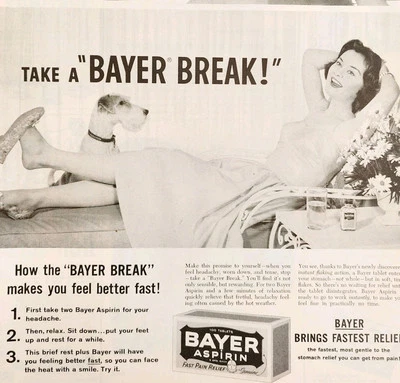 1960 Bayer Aspirin Wire Fox Terrier Advertisement Pain Medicine Vintage DWII28 - Image 1 of 2