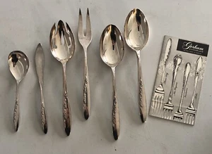 6-teiliges Servierset Gorham Flower Song Löffel Fleischgabel Messer geschlitzt - Bild 1 von 6