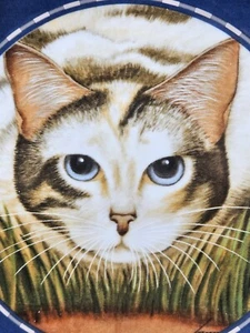 Vintage 1991 Lowell Herrero Cat Plate, Blue-eyed Calico, Wide Blue Rim, New/Mint - Picture 1 of 4