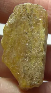 10,05ct Madagaskar 100% natürlicher grober Rohbernstein Kristall Präparat 2,05g 31mm - Bild 1 von 5