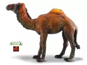 Dromedary Camel Wildlife Toy Model Figure by CollectA 88208 Christmas Nativity - Picture 1 of 2