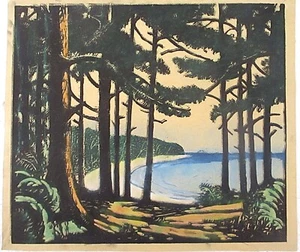 IMPRESIÓN ORIGINAL ARTISTA GEORGE RAAB WIS, PINOS BY LAKE, BUEN ESTADO - Imagen 1 de 5