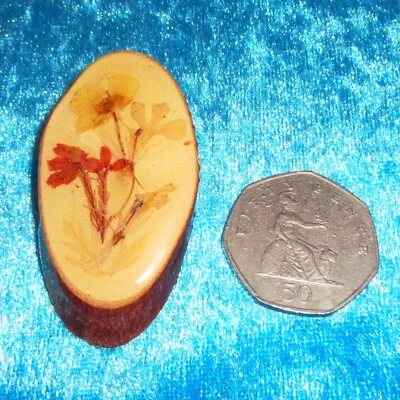 Unusual Vintage? Dried Flowers Resin? Wood Slice Wooden Floral Brooch Pin Badge - Image 1 of 3