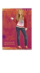 PÓSTER DE TV ~ HANNAH MONTANA (Miley Cyrus) ESTRELLA SECRETA - Imagen 1 de 1