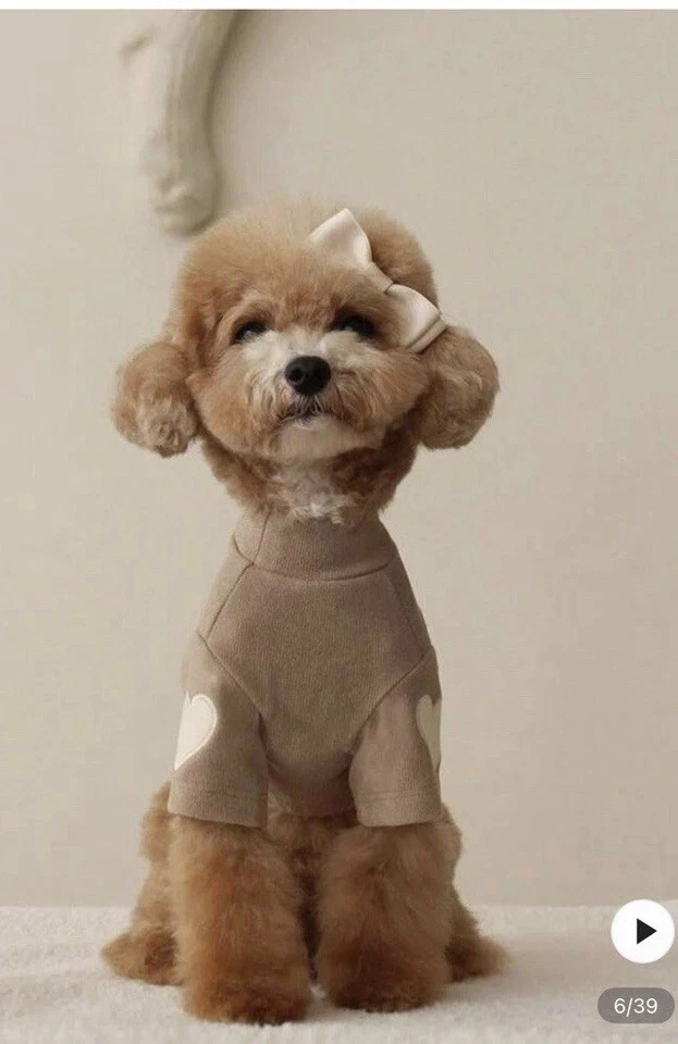 Chaqueta/suéter pulóver de felpa para perros - crema    Foto 1 de 1