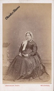 WELSHPOOL WALES CDV LADY FABULOUS SPOTTED DRESS BONNET VICTORIAN FASHION #D4233 - Picture 1 of 2
