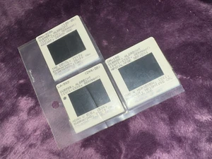 ALBRECHT DUERER 2 X 2 / 35mm museum quality 3 slide collection, W free shipping - Picture 1 of 3
