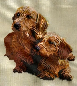 Preworked TWO SMALL BROWN DOGS Dog Center Work Needlepoint Canvas 7 1/2" x 8" - Picture 1 of 2
