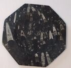  12" Large Octagon Shape Black Fossils Orthoceras Plates @Morocco, Beautiful..