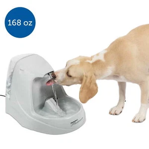PetSafe Drinkwell Platinum Pet Water Fountain for Cats and Dogs, 168 oz - Picture 1 of 5