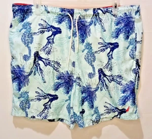 Nautica Men's Blue Nautica Themed Drawstring Board Shorts New No Tags XL - Picture 1 of 10