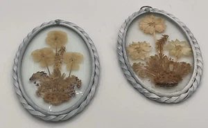Paar bleibende Impressionen gepresste Blumen (1) in abgeschrägtem Glas Wandbehang - Bild 1 von 2
