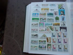 AFRIQUE - lot de timbres (majorités n** MNH) (E10) - Picture 1 of 1