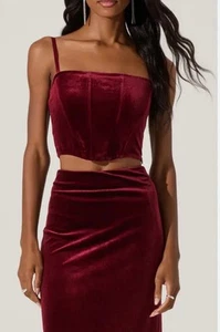 ASTR The LABEL Women's Sz XL Velvet Corset Crop Top Square Neck Stretch Pin Up  - Picture 1 of 12