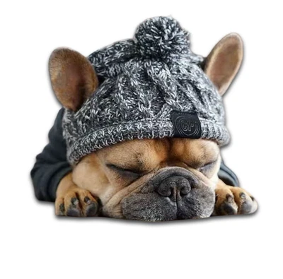 Winter Dog Beanie Hat - Windproof Fluffy Ball Pet Hat Puppy French Bulldog - Image 1 of 4