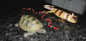 REPTILE FIGURES LOT OF 3 - REALISTIC ANIMALS 5"-9"  TURTLE - CORAL SNAKE & GECKO - Picture 1 of 9