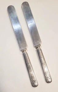 2 cuchillos de cena de mango plano liso Carnation by WR William Rogers/Oneida - Imagen 1 de 5
