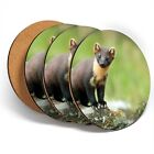 4 x Coasters  - Pine Marten Scotland Wild Animal  #46042