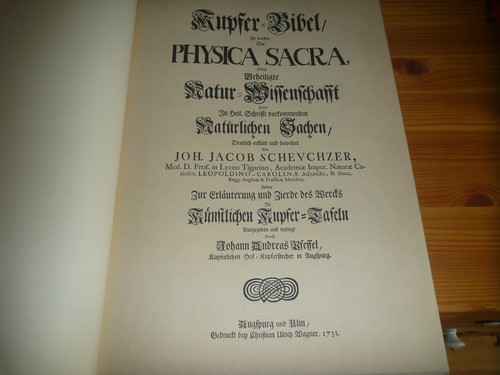 Bild 1 von 12