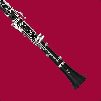 Wind & Woodwind Instruments