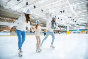 Ice Skating Rink Business Plan - Picture 1 of 3