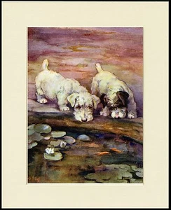 SEALYHAM TERRIER TWO DOGS BY A POND LOVELY DOG PRINT MOUNTED READY TO FRAME - Bild 1 von 1