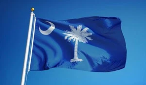 NEW SOUTH CAROLINA 2x3ft FLAG new superior quality fade resist flag us seller - Picture 1 of 3