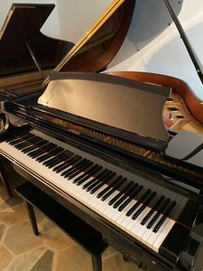 SILENT Flügel Stummschaltung Stutzflügel Grand Piano Konzertflügel Salonflügel - Bild 1 von 7