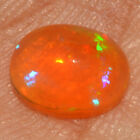 Ethiopian Fire Opal Natural Gemstones Oval 0.95Cts 6.1x7.8mm Cabochon OC-1912