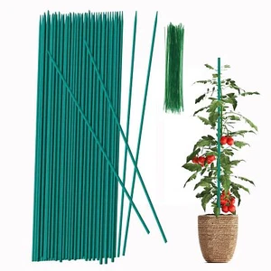 30 Pack Green Bamboo Plant Support Garden Flower Stakes for Potted Plants - Picture 1 of 6