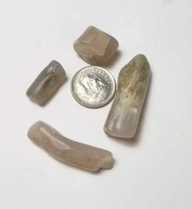 Old Stock Lot of 4 Blue Forest WY POLISHED Petrified Wood Log 84 cts - Bild 1 von 2