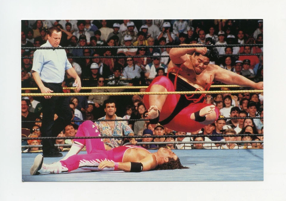 #TN07601 HIT MAN BRET HART VS. YOKOZUNA 1999 WWF Card - Image 1 of 1