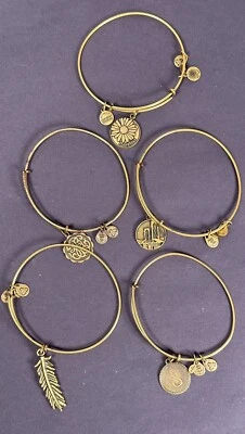 Lote Brazalete Alex and Ani Diseñador Moda Pulsera Newport Hija Pluma S Foto 1 de 2