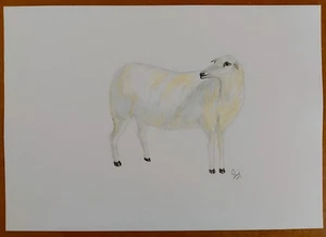 Original Lamb watercolour painting For Wall - Picture 1 of 6