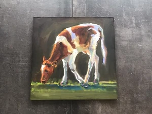 Diane Whitehead Original Gemälde Baby Kuh Kalb - Bild 1 von 6