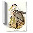 Great Grey Herons Landscape Bird Elizabeth Gould Unframed Wall Art Poster Print