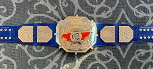 New Customise CCW Costal Wrestling Championship Belt Adult Size - Picture 1 of 1