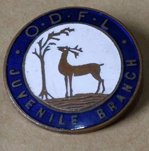 ODFL OUR DUMB FRIENDS LEAGUE JUVENILE BRANCH Vintage Enamel Badge Animal Welfare - Picture 1 of 2